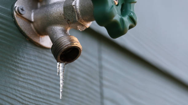 Best Best Plumbers Near Me  in Freeport, FL