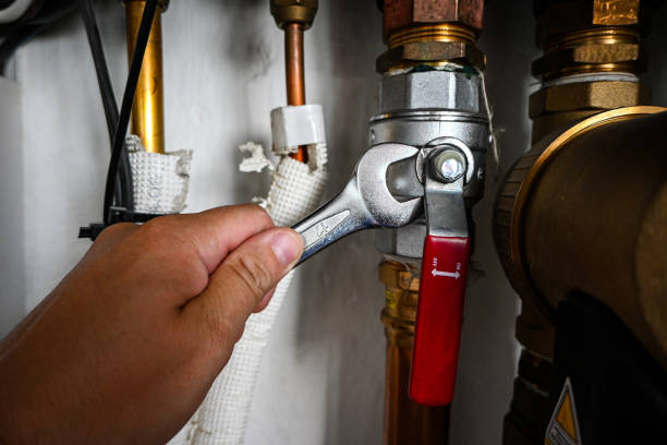 Best Local Plumber Services  in Freeport, FL